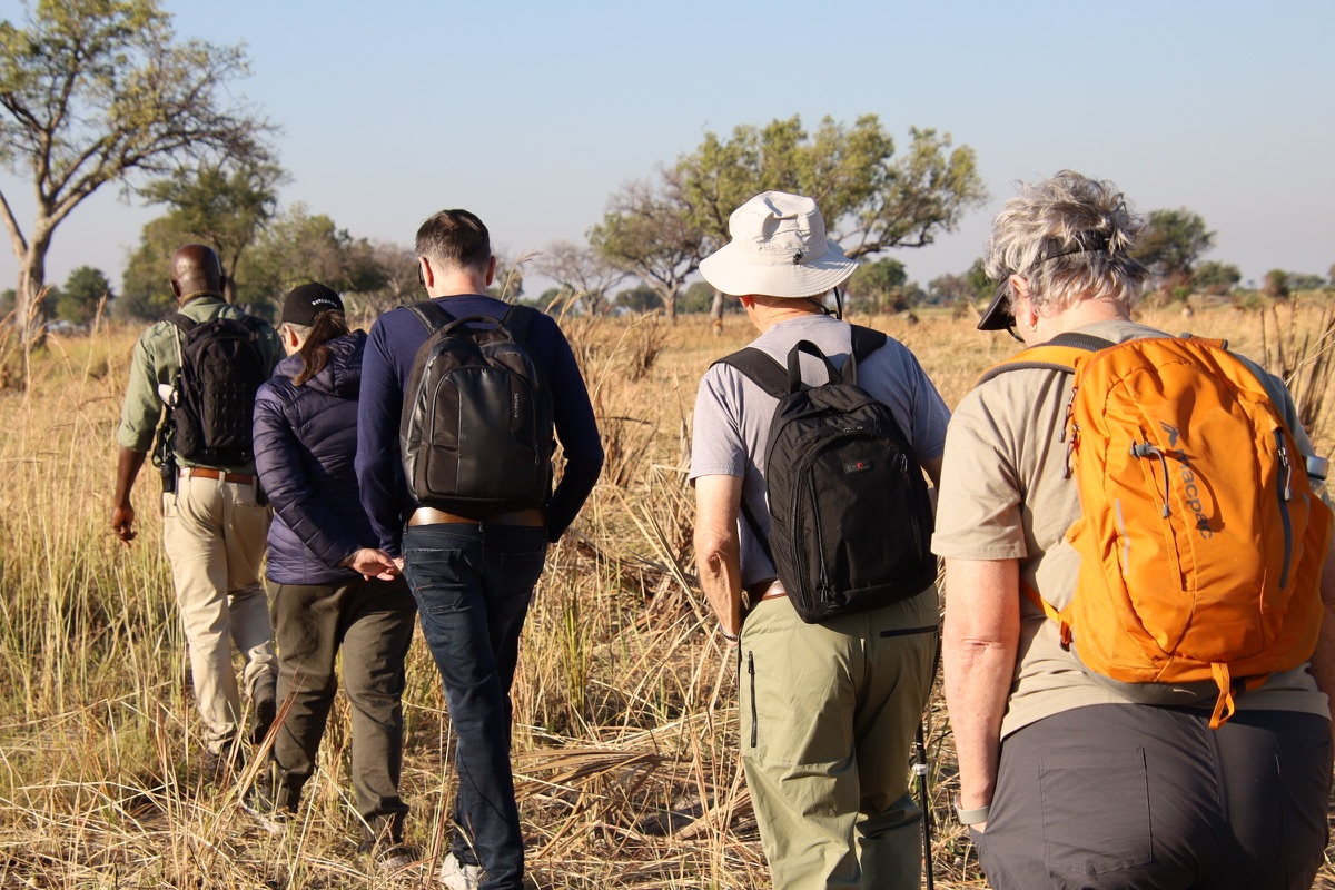 A walking group crossing dry grassland with daypacks